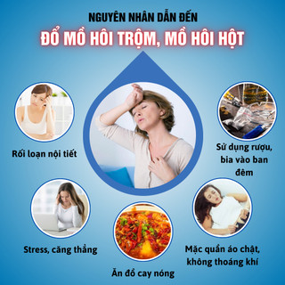 [Mồ hôi tay chân] Trà chống mồ hôi hột, mồ hôi chân tay Fengcha bịch 30 gói lọc