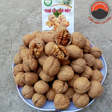 Óc chó nếp vàng nguyên vỏ Hà Giang loại 1 chưa tách vỏ. Óc chó sống sấy khô từ óc chó tươi rừng, óc chó giấy làm sữa hạt