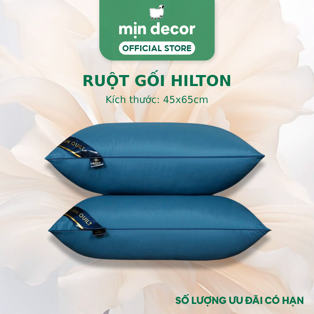 Ảnh Ruột gối Hilton Mịn Decor mềm mại kích cỡ 45x65cm 2