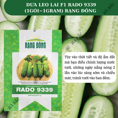 Hạt Giống Dưa Leo Lai F1 RADO 9339 (Gói 1g~35 Hạt) Rạng Đông, Trái Dài, Giòn Ngọt, Trái Sai, Trồng Quanh Năm