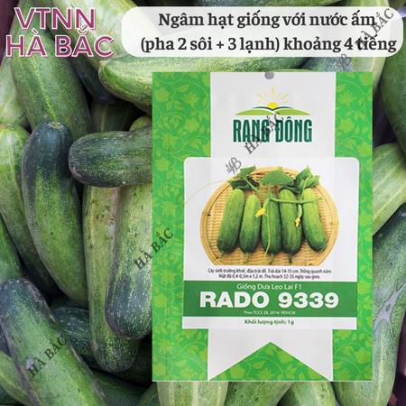 Hạt Giống Dưa Leo Lai F1 RADO 9339 (Gói 1g~35 Hạt) Rạng Đông, Trái Dài, Giòn Ngọt, Trái Sai, Trồng Quanh Năm