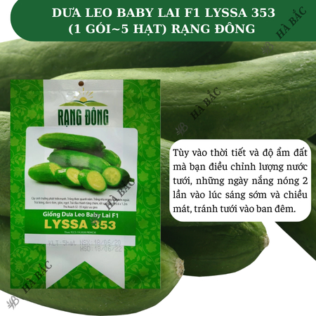 Hạt Giống Dưa Leo Baby Lai F1 Lyssa RADO 353 (Gói 5 Hạt) Rạng Đông, Siêu Trái, Giống Tự Thụ Phấn – [Dưa Chuột Chùm]