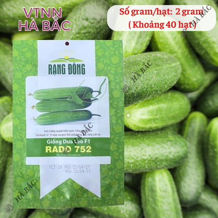 Hạt Giống Dưa Leo RADO 752 (Gói 2g~40 Hạt) Rạng Đông, Trái Dài, Sai Quả, Trồng Quanh Năm