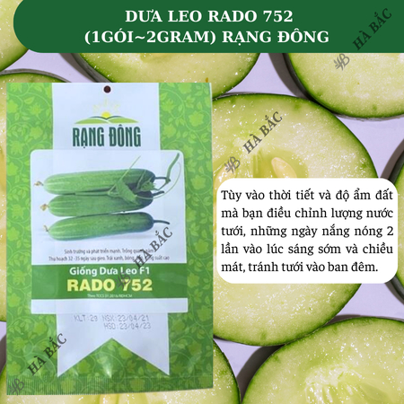 Hạt Giống Dưa Leo RADO 752 (Gói 2g~40 Hạt) Rạng Đông, Trái Dài, Sai Quả, Trồng Quanh Năm