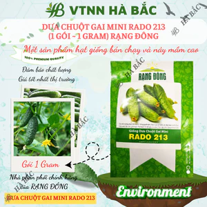Hạt Giống Dưa Chuột Gai Mini RADO 213 (Gói 1g~60 Hạt) Rạng Đông Chùm Siêu Trái, Chịu Nhiệt Tốt, Trồng Quanh Năm