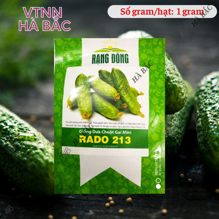 Hạt Giống Dưa Chuột Gai Mini RADO 213 (Gói 1g~60 Hạt) Rạng Đông Chùm Siêu Trái, Chịu Nhiệt Tốt, Trồng Quanh Năm