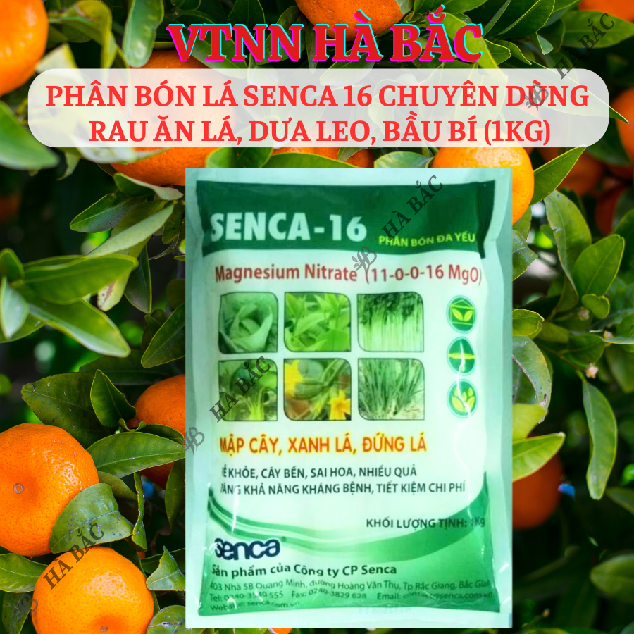 Phân bón lá Senca 16 chuyên dùng rau ăn lá, dưa leo, bầu bí (túi 1KG)