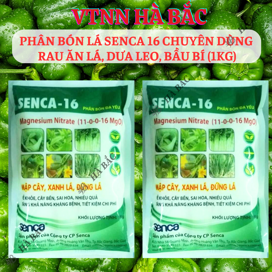 Phân bón lá Senca 16 chuyên dùng rau ăn lá, dưa leo, bầu bí (túi 1KG)
