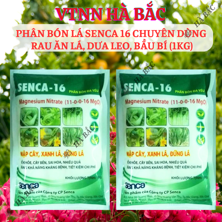 Phân bón lá Senca 16 chuyên dùng rau ăn lá, dưa leo, bầu bí (túi 1KG)