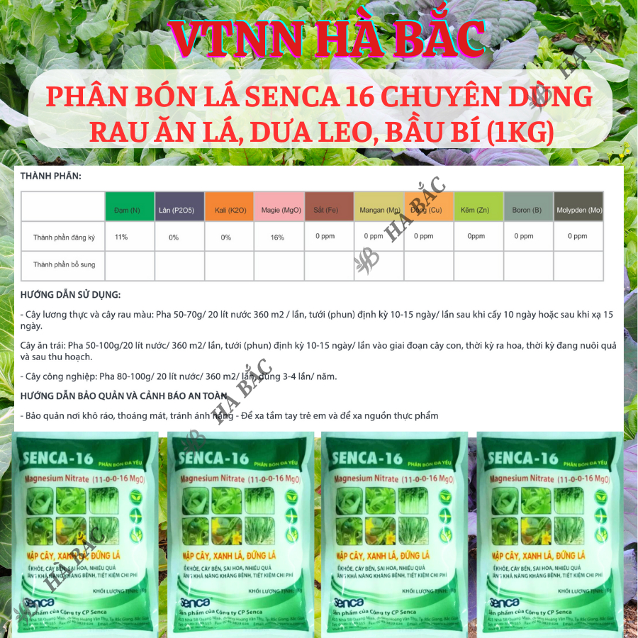 Phân bón lá Senca 16 chuyên dùng rau ăn lá, dưa leo, bầu bí (túi 1KG)