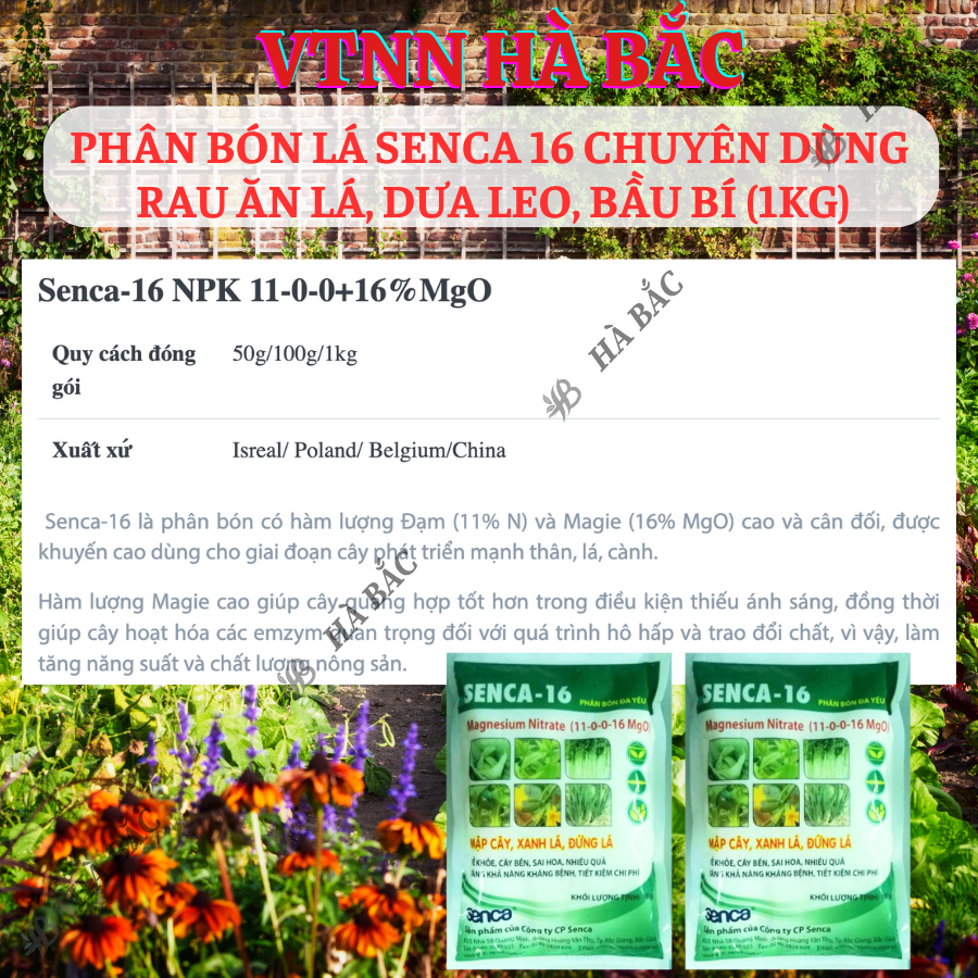 Phân bón lá Senca 16 chuyên dùng rau ăn lá, dưa leo, bầu bí (túi 1KG)