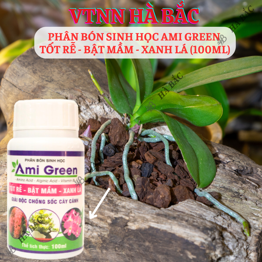 Phân Bón Sinh Học Ami Green  Tốt Rễ - Bật Mầm - Xanh Lá (100ml)