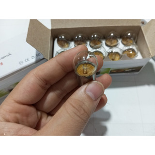 Combo 5 Hộp 10 bóng đèn Halogen G18 HCL 12V/24V 10W. Bóng 1 tim lùn 10w 12v 24v.
