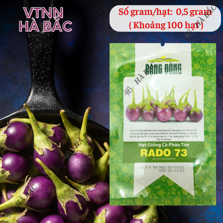 Hạt Giống Cà Pháo Tím RADO 73 (Gói 0,5g~100 Hạt) Rạng Đông, Nảy Mầm Tốt, Kháng Bệnh, Trồng Quanh Năm