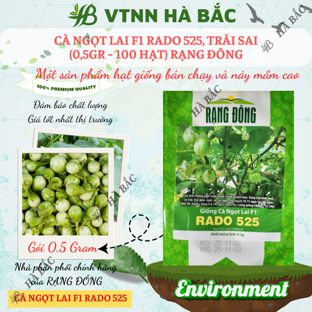 Hạt Giống Cà Ngọt Lai F1 RADO 525 (Gói 0,5g~100 Hạt) Rạng Đông, Trái Sai, Dễ Trồng, Cây Kháng Bệnh Tốt, Quanh Năm