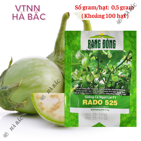 Hạt Giống Cà Ngọt Lai F1 RADO 525 (Gói 0,5g~100 Hạt) Rạng Đông, Trái Sai, Dễ Trồng, Cây Kháng Bệnh Tốt, Quanh Năm