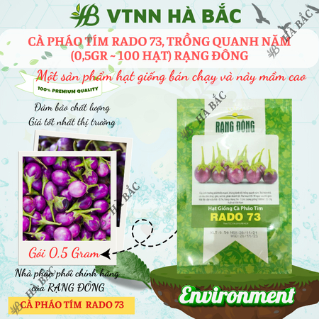 Hạt Giống Cà Pháo Tím RADO 73 (Gói 0,5g~100 Hạt) Rạng Đông, Nảy Mầm Tốt, Kháng Bệnh, Trồng Quanh Năm