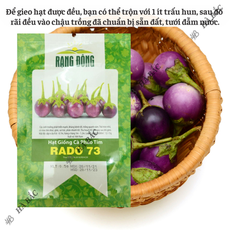 Hạt Giống Cà Pháo Tím RADO 73 (Gói 0,5g~100 Hạt) Rạng Đông, Nảy Mầm Tốt, Kháng Bệnh, Trồng Quanh Năm