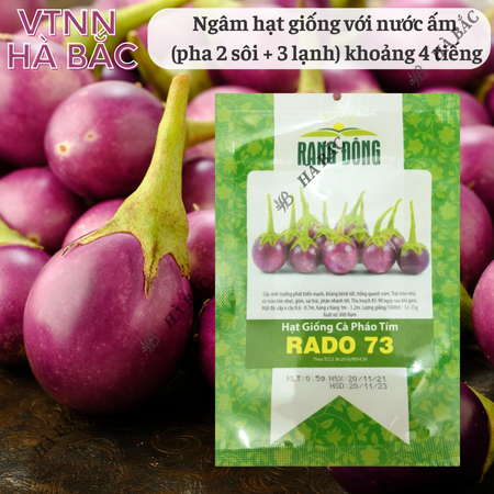 Hạt Giống Cà Pháo Tím RADO 73 (Gói 0,5g~100 Hạt) Rạng Đông, Nảy Mầm Tốt, Kháng Bệnh, Trồng Quanh Năm