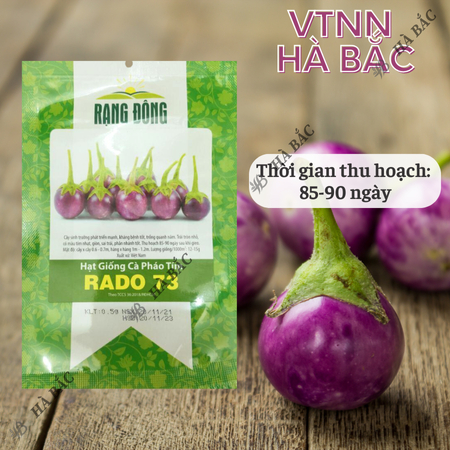 Hạt Giống Cà Pháo Tím RADO 73 (Gói 0,5g~100 Hạt) Rạng Đông, Nảy Mầm Tốt, Kháng Bệnh, Trồng Quanh Năm
