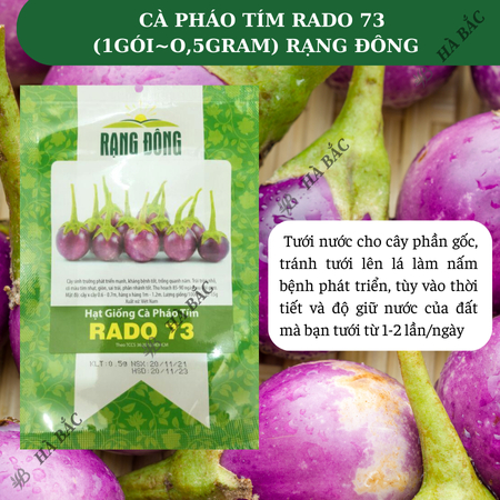 Hạt Giống Cà Pháo Tím RADO 73 (Gói 0,5g~100 Hạt) Rạng Đông, Nảy Mầm Tốt, Kháng Bệnh, Trồng Quanh Năm