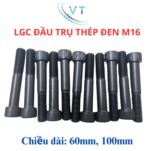 Bu Lông Lục Giác Chìm Đầu Lục Giác Bằng Thép Carbon M16 12.9 Dài 60mm và 100mm