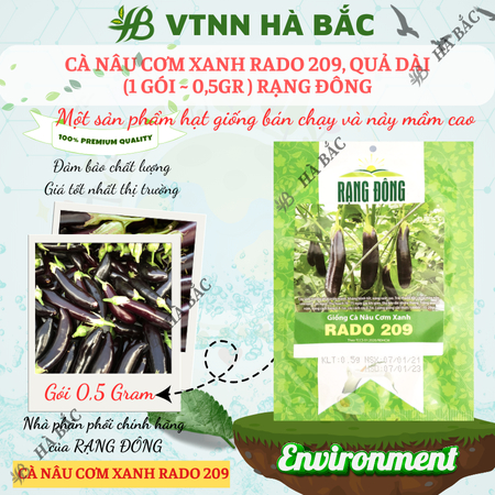 Hạt Giống Cà Nâu Cơm Xanh RADO 209 (Gói 0,5g~100 Hạt) Rạng Đông, Trái Sai, Trồng Quanh Năm