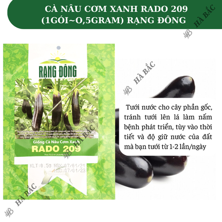 Hạt Giống Cà Nâu Cơm Xanh RADO 209 (Gói 0,5g~100 Hạt) Rạng Đông, Trái Sai, Trồng Quanh Năm