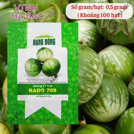 Hạt Giống Cà Dĩa RADO 709 (Gói 0,5g~100 Hạt) Rạng Đông, Chịu Nhiệt Tốt, Ít Sâu Bệnh, Trồng Quanh Năm
