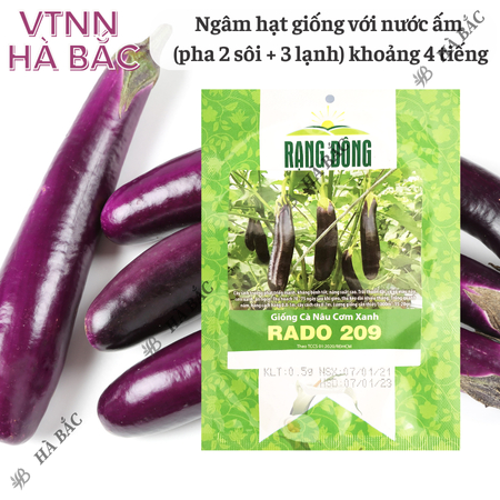 Hạt Giống Cà Nâu Cơm Xanh RADO 209 (Gói 0,5g~100 Hạt) Rạng Đông, Trái Sai, Trồng Quanh Năm
