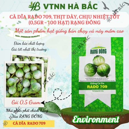 Hạt Giống Cà Dĩa RADO 709 (Gói 0,5g~100 Hạt) Rạng Đông, Chịu Nhiệt Tốt, Ít Sâu Bệnh, Trồng Quanh Năm