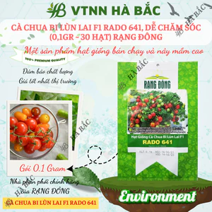 Hạt Giống Cà Chua Bi Lùn Lai F1 RADO 641 (Gói 0,1g~30 Hạt) Rạng Đông, Trồng Chậu, Quanh Năm, Dễ Chăm Sóc