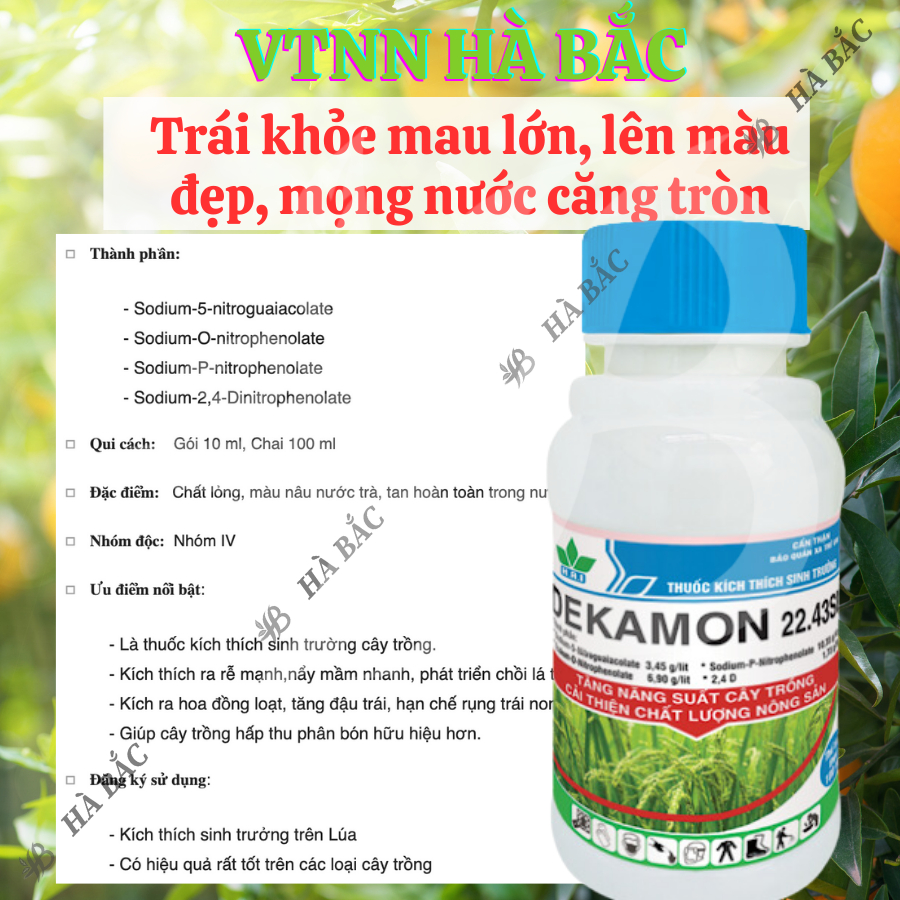 Chất điều hòa sinh trưởng cây trồng Dekamon 22.43SL, nảy mầm ra rễ phát triển chồi lá - chai 100ml