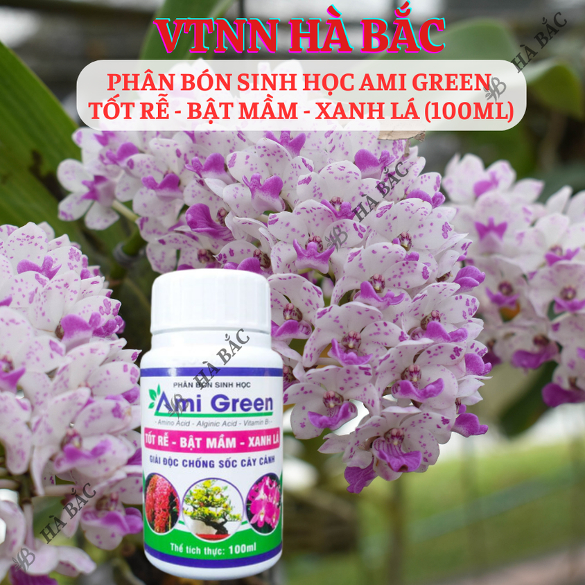 Phân Bón Sinh Học Ami Green  Tốt Rễ - Bật Mầm - Xanh Lá (100ml)