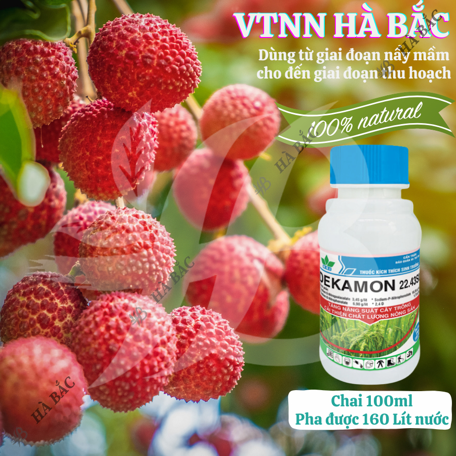 Chất điều hòa sinh trưởng cây trồng Dekamon 22.43SL, nảy mầm ra rễ phát triển chồi lá - chai 100ml