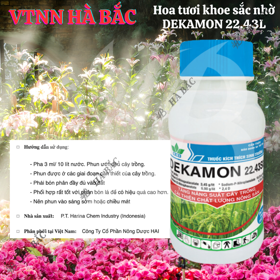 Chất điều hòa sinh trưởng cây trồng Dekamon 22.43SL, nảy mầm ra rễ phát triển chồi lá - chai 100ml