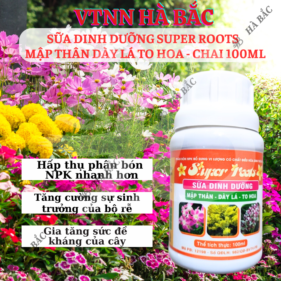 Sữa Dinh Dưỡng SUPER ROOTS mập thân dày lá to hoa - chai 100ml