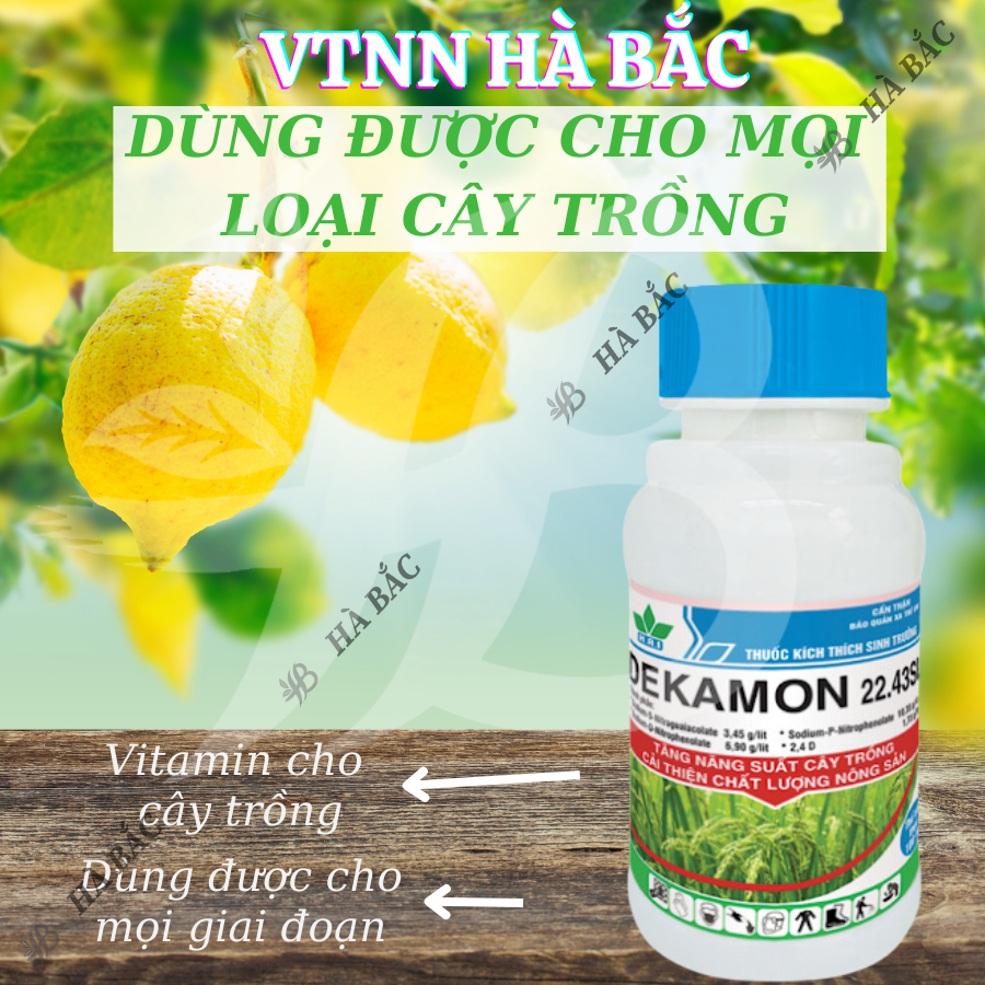 Chất điều hòa sinh trưởng cây trồng Dekamon 22.43SL, nảy mầm ra rễ phát triển chồi lá - chai 100ml