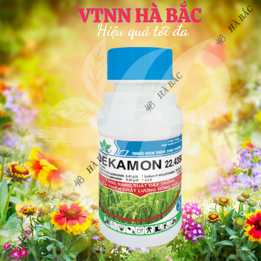 Chất điều hòa sinh trưởng cây trồng Dekamon 22.43SL, nảy mầm ra rễ phát triển chồi lá - chai 100ml