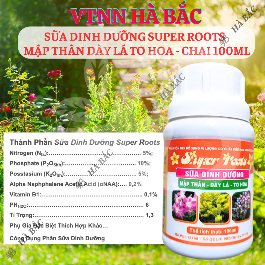 Sữa Dinh Dưỡng SUPER ROOTS mập thân dày lá to hoa - chai 100ml