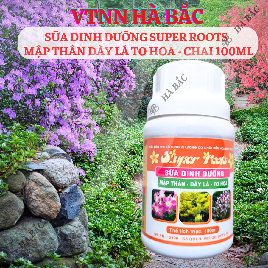 Sữa Dinh Dưỡng SUPER ROOTS mập thân dày lá to hoa - chai 100ml