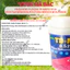 Phân bón lá vi lượng TD MKP 0-52-34 Thiên Di, kích tạo mầm hoa xử lý hoa nghịch mùa (hũ 100 gram)