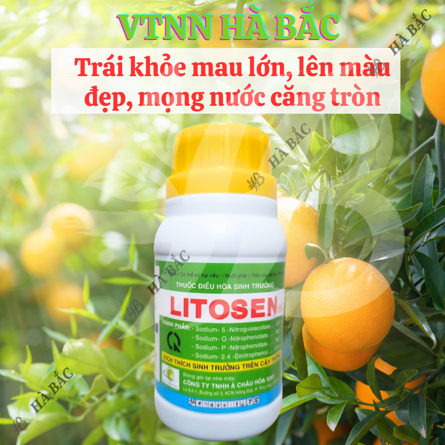 Thuốc điều hòa, kích thích sinh trưởng LITOSEN 1.9EC (100ml)