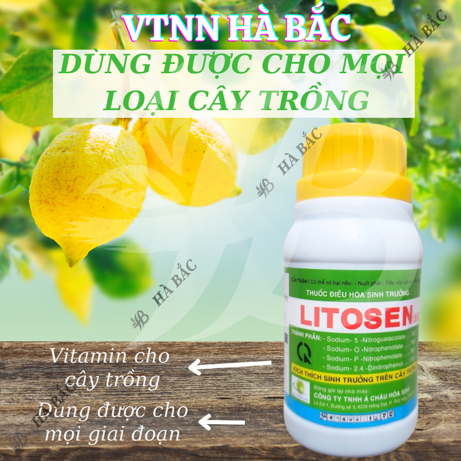Thuốc điều hòa, kích thích sinh trưởng LITOSEN 1.9EC (100ml)