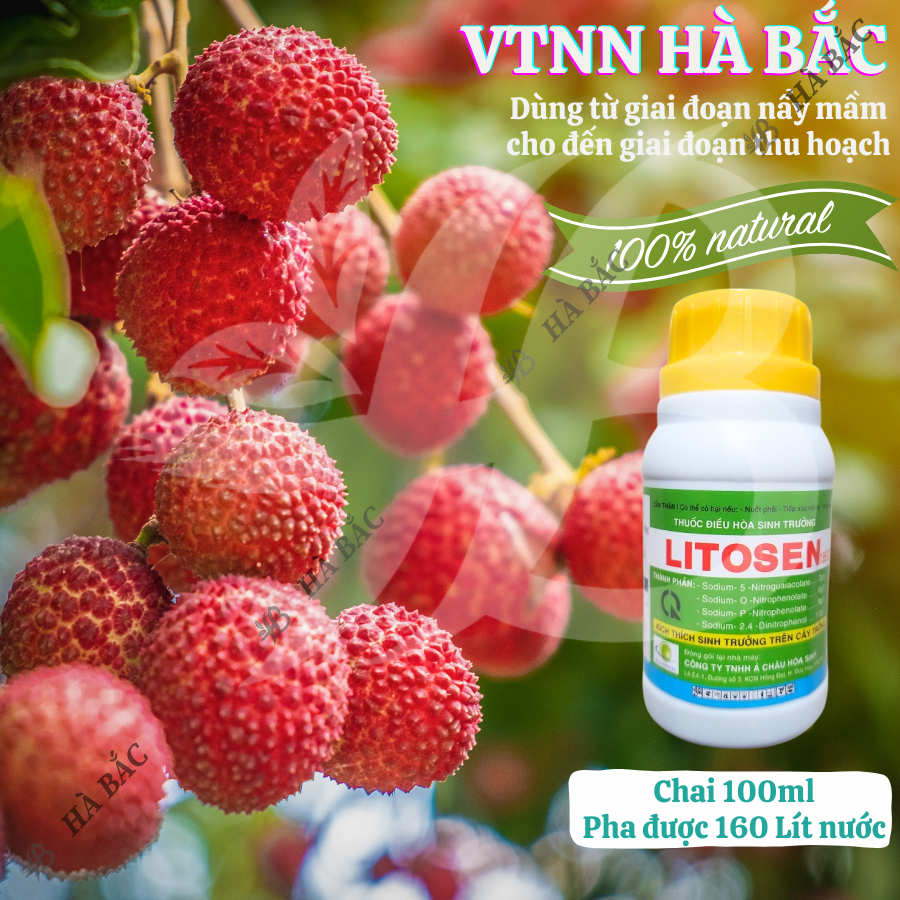 Thuốc điều hòa, kích thích sinh trưởng LITOSEN 1.9EC (100ml)