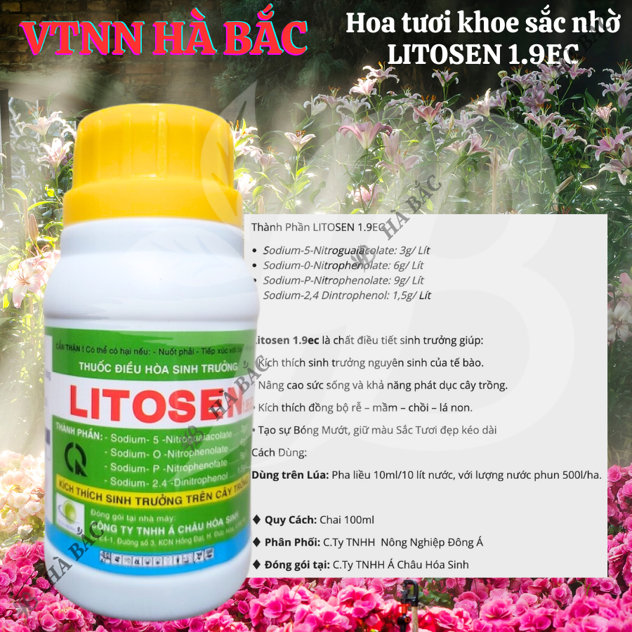 Thuốc điều hòa, kích thích sinh trưởng LITOSEN 1.9EC (100ml)