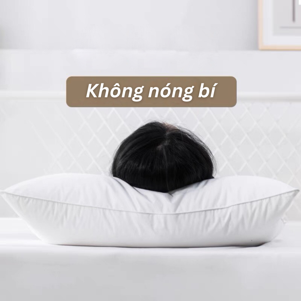 Ảnh Gối Nằm Ngủ Thấp 8 Cm Latalia Lasante Thoáng Khí, Êm Ái 45x65 Cm 2