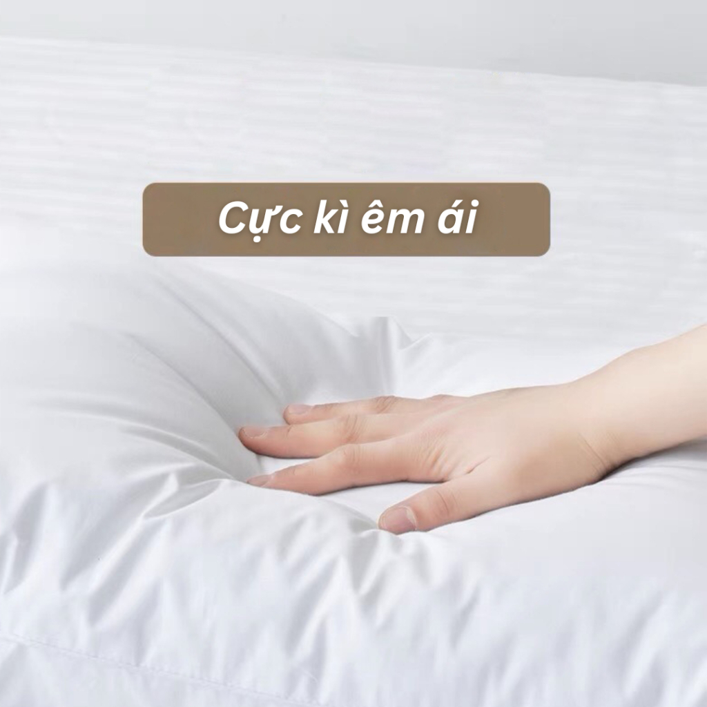 Ảnh Gối Nằm Ngủ Thấp 8 Cm Latalia Lasante Thoáng Khí, Êm Ái 45x65 Cm 3
