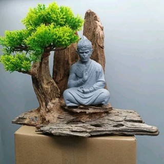 Gỗ lũa bonsai tán tùng dành cho bể cá cảnh, bể thủy sinh.Mẫu Tôn Ngộ Không , Tượng Phật ngồi thiền.