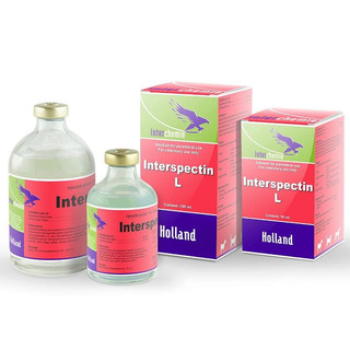 Interchemie Interspectin L chai 100ml trị hô hấp viêm phổi viêm họng viêm khớp cho chó mèo gia cầm